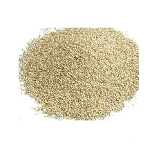 Wholesale quinoa conventional dry grain